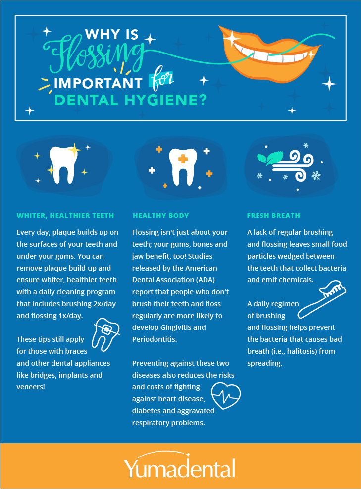 why flossing is important to dental hygiene infographic